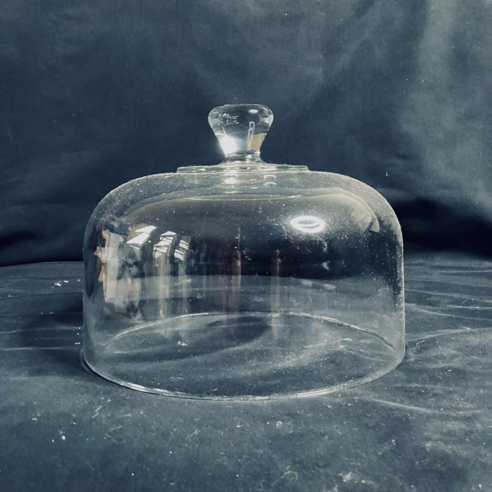 Beautiful Glass Cheese Bell Dome with Handle